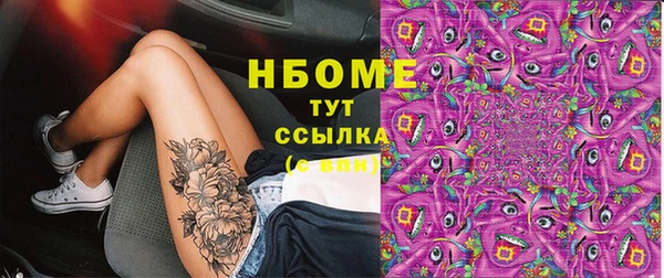 гашик Алексин