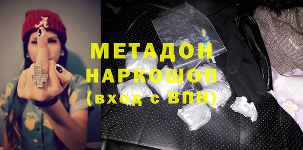 гашик Алексин