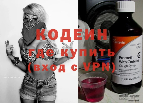 гашик Алексин