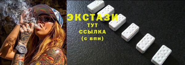 гашик Алексин