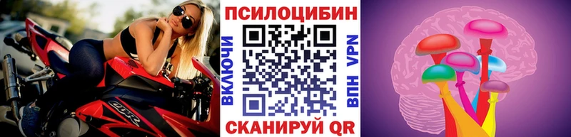 где найти   Тара  Псилоцибиновые грибы MAGIC MUSHROOMS 