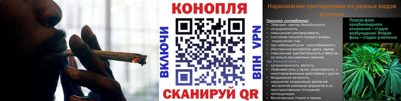 Конопля план  darknet наркотические препараты  Тара 